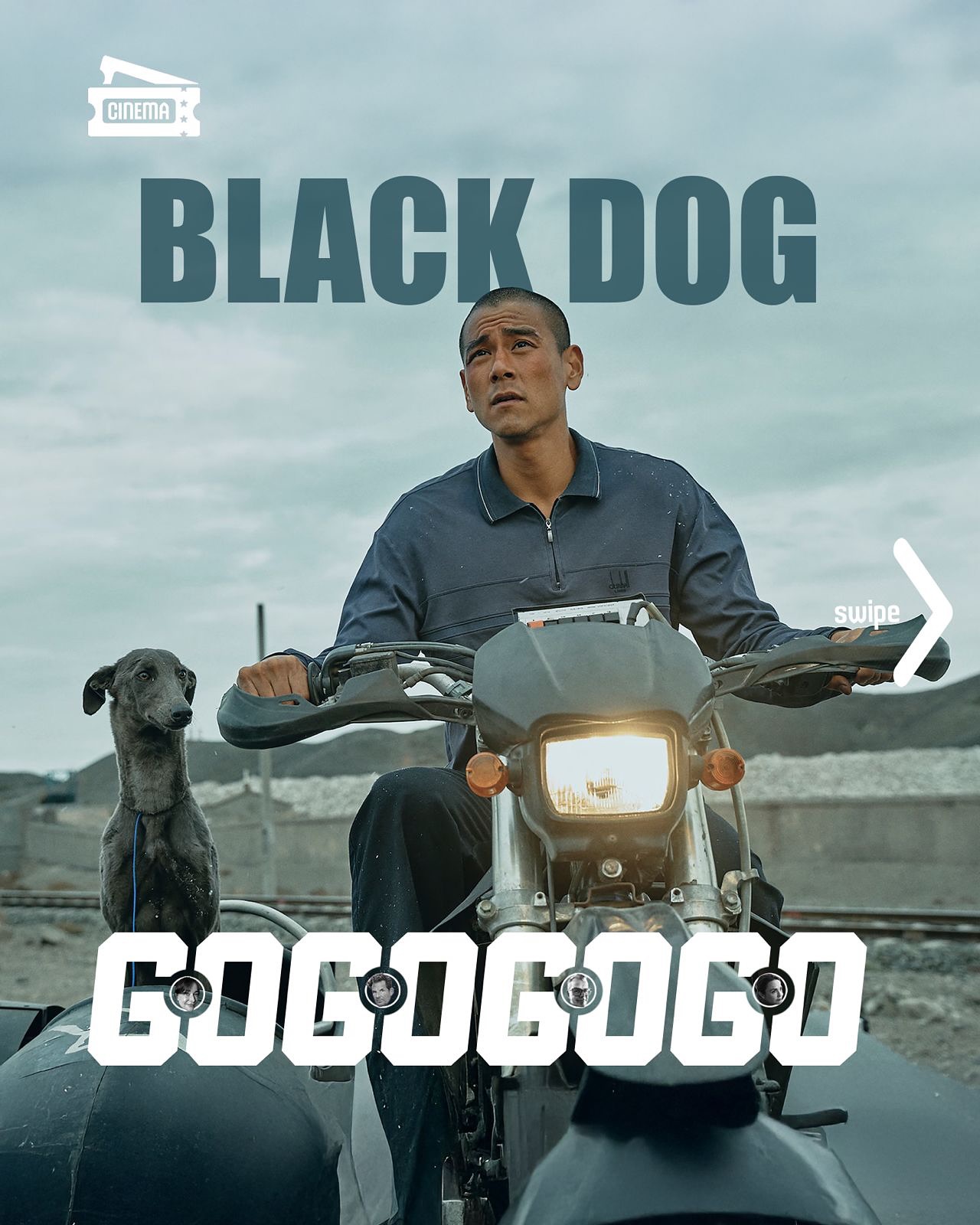 Beeld 1 van 5 bij Black Dog