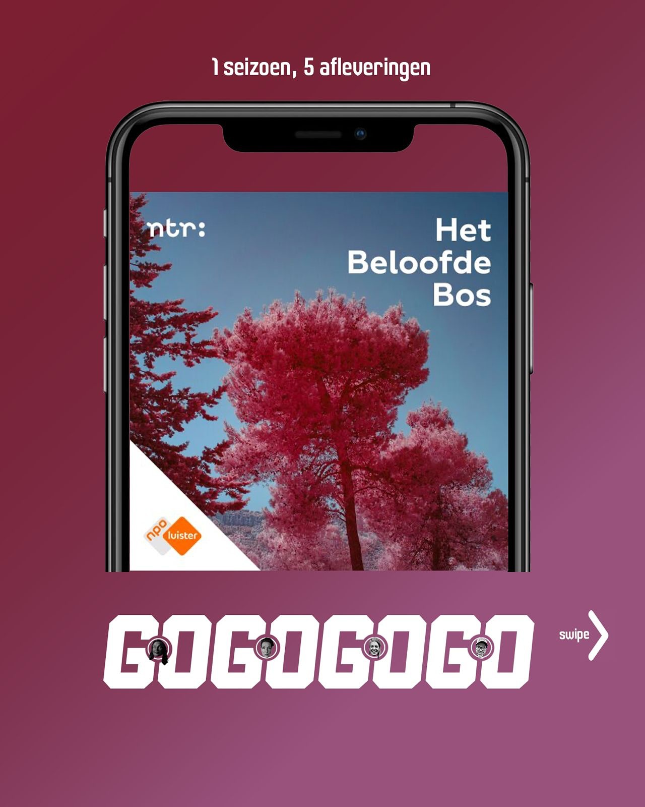 Beeld 1 van 5 bij Het Beloofde Bos